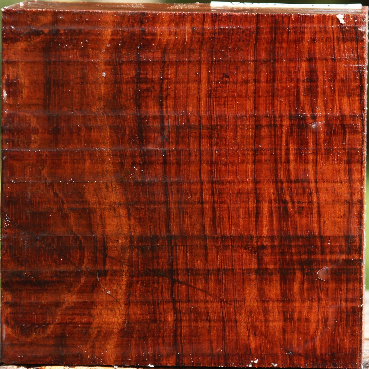 Bubinga Bowl Blank