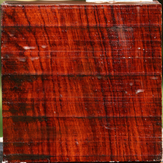 Bubinga Bowl Blank
