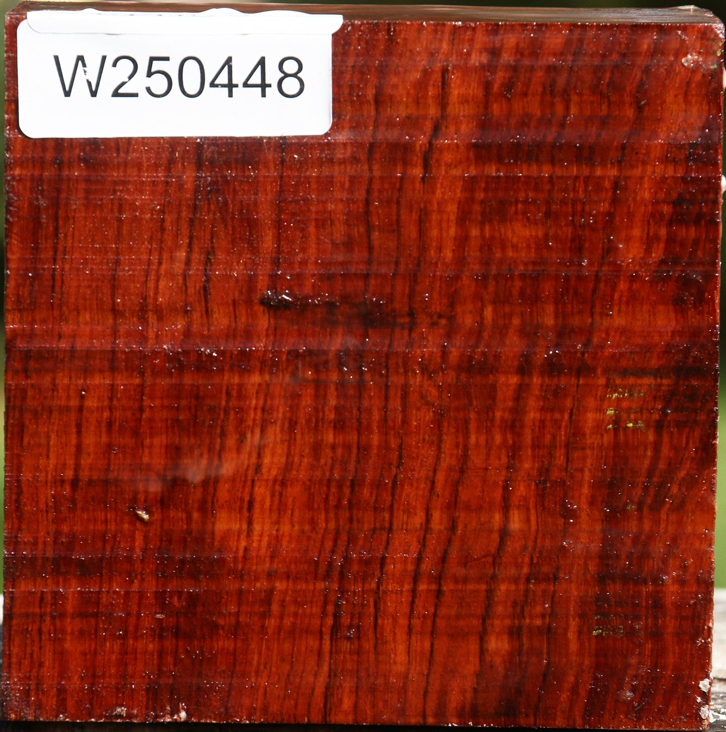 Bubinga Bowl Blank