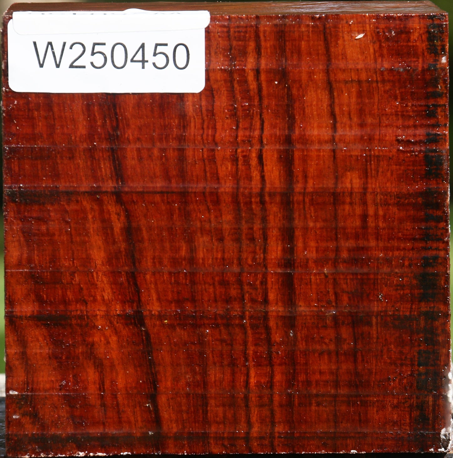Bubinga Bowl Blank