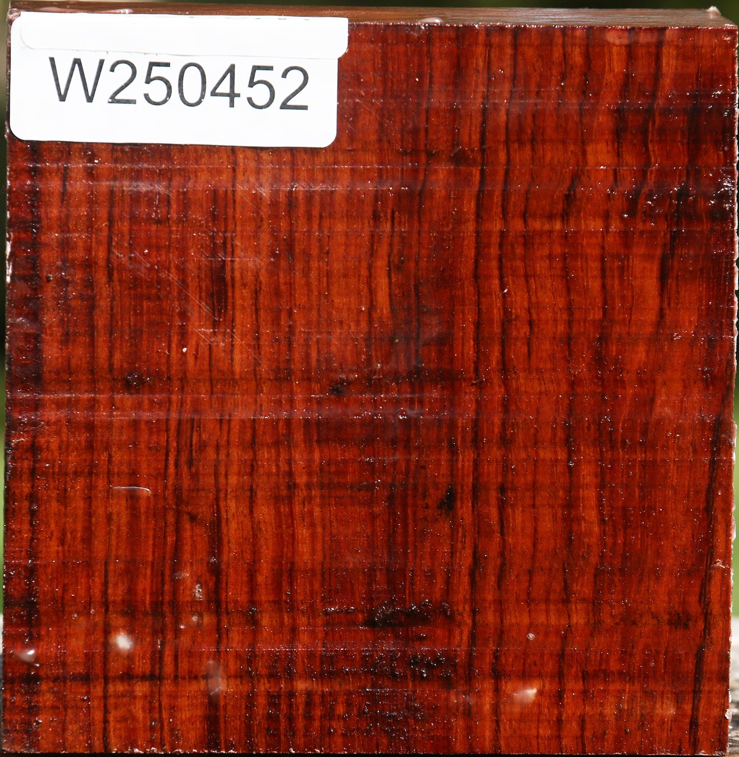 Bubinga Bowl Blank