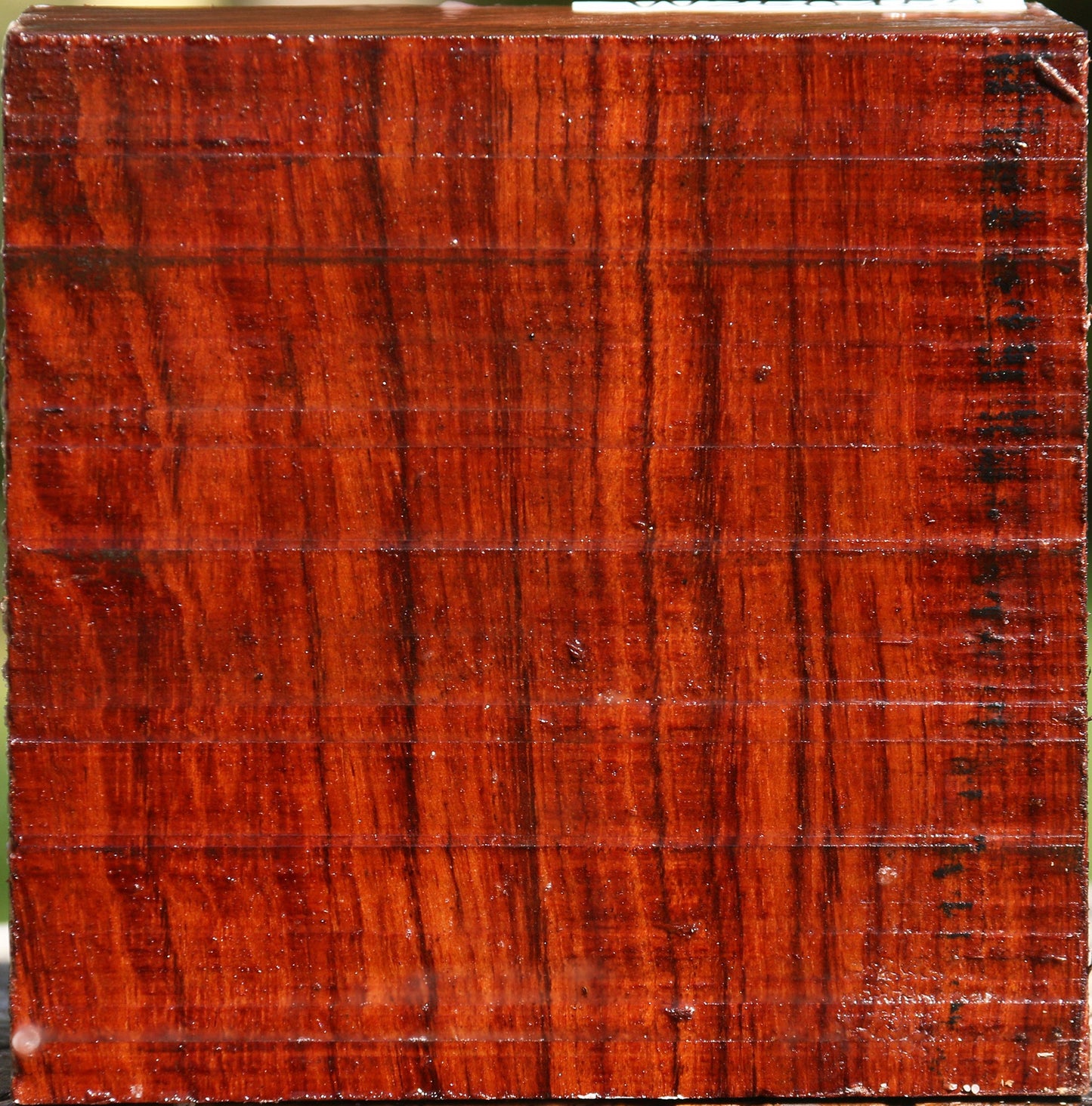 Bubinga Bowl Blank