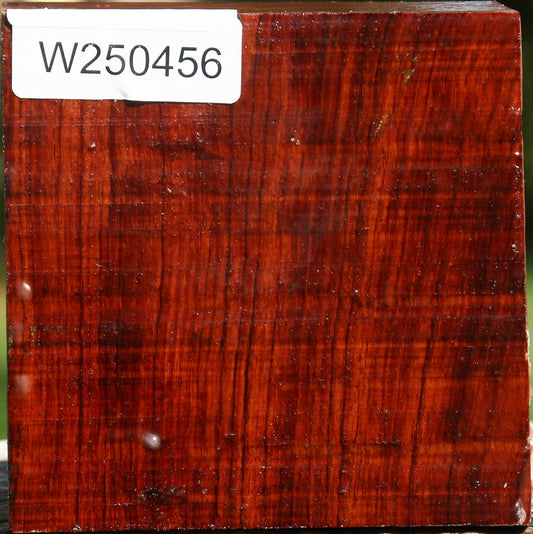 Bubinga Bowl Blank