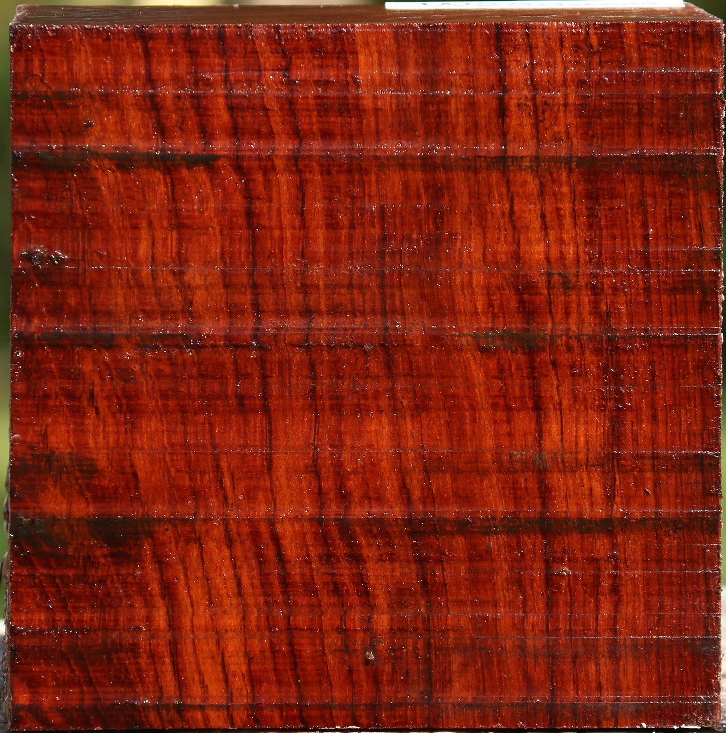 Bubinga Bowl Blank