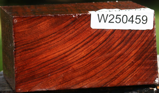 Bubinga Bowl Blank