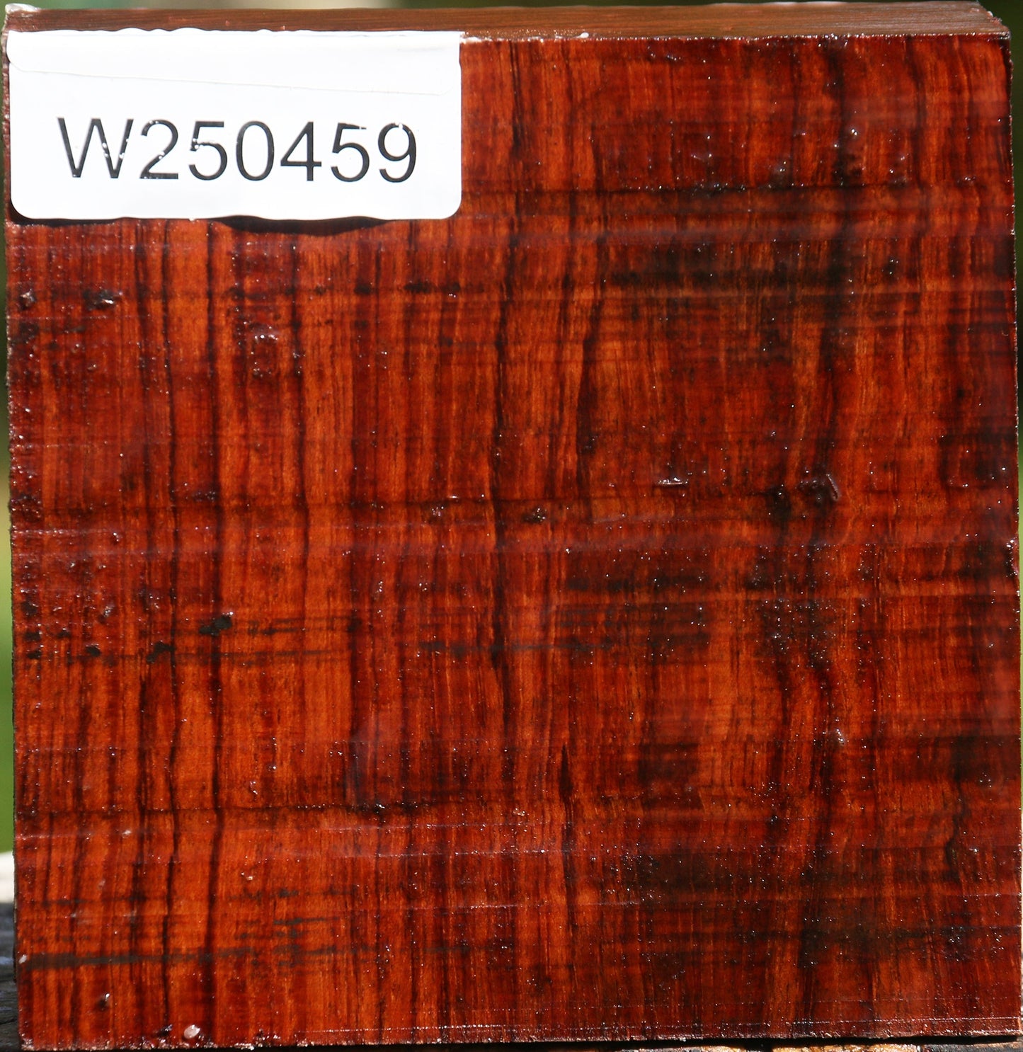 Bubinga Bowl Blank