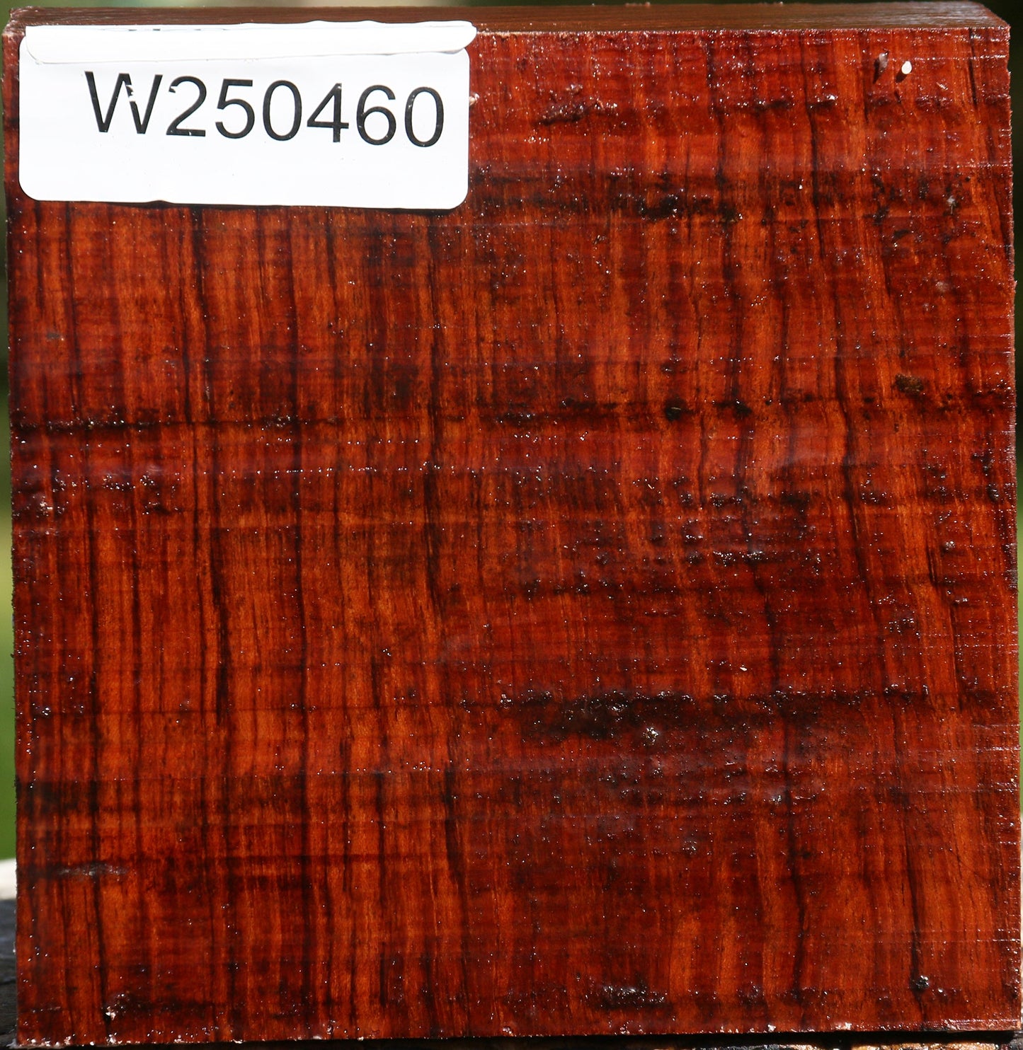 Bubinga Bowl Blank