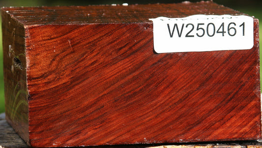 Bubinga Bowl Blank