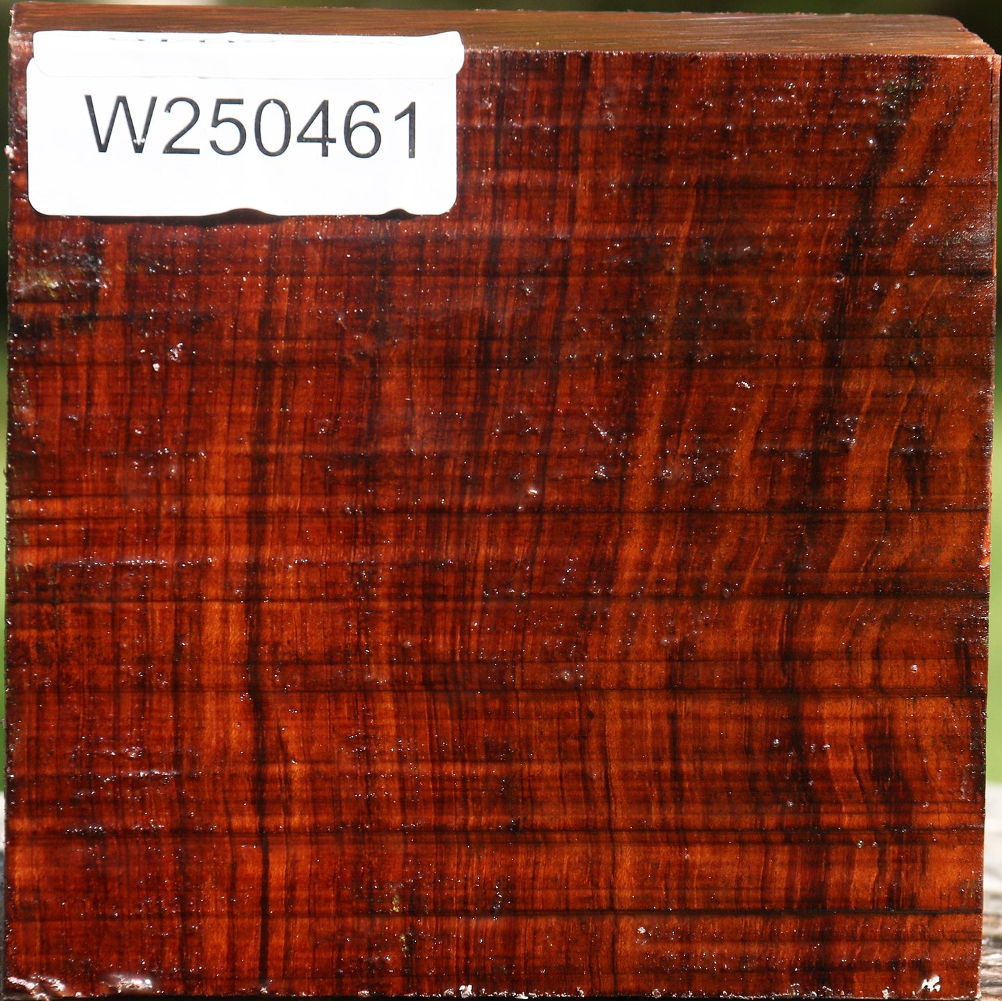 Bubinga Bowl Blank