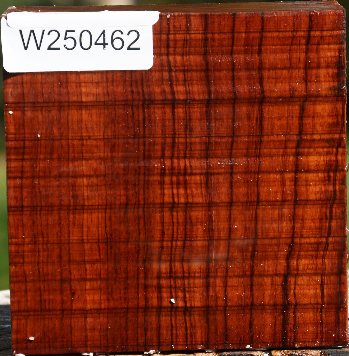 Bubinga Bowl Blank