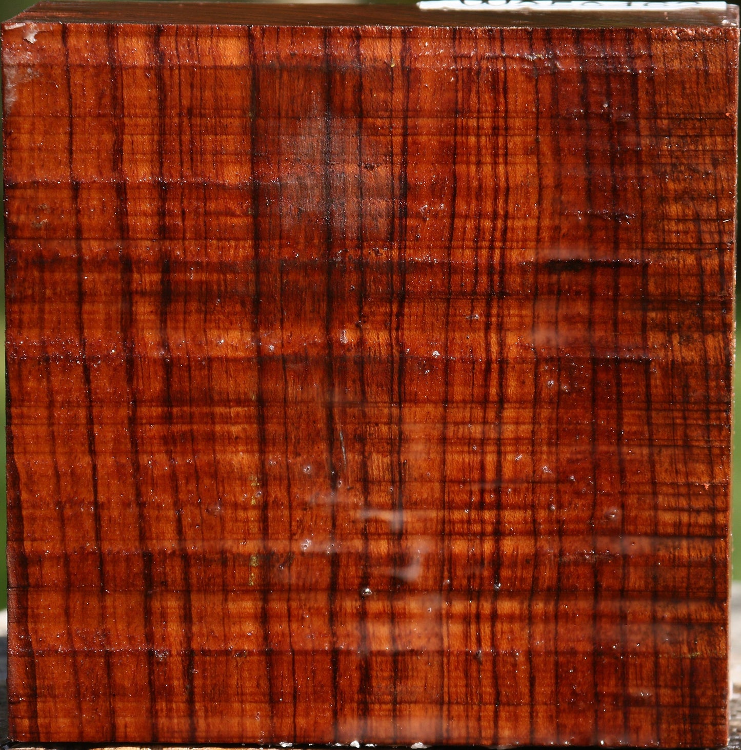 Bubinga Bowl Blank