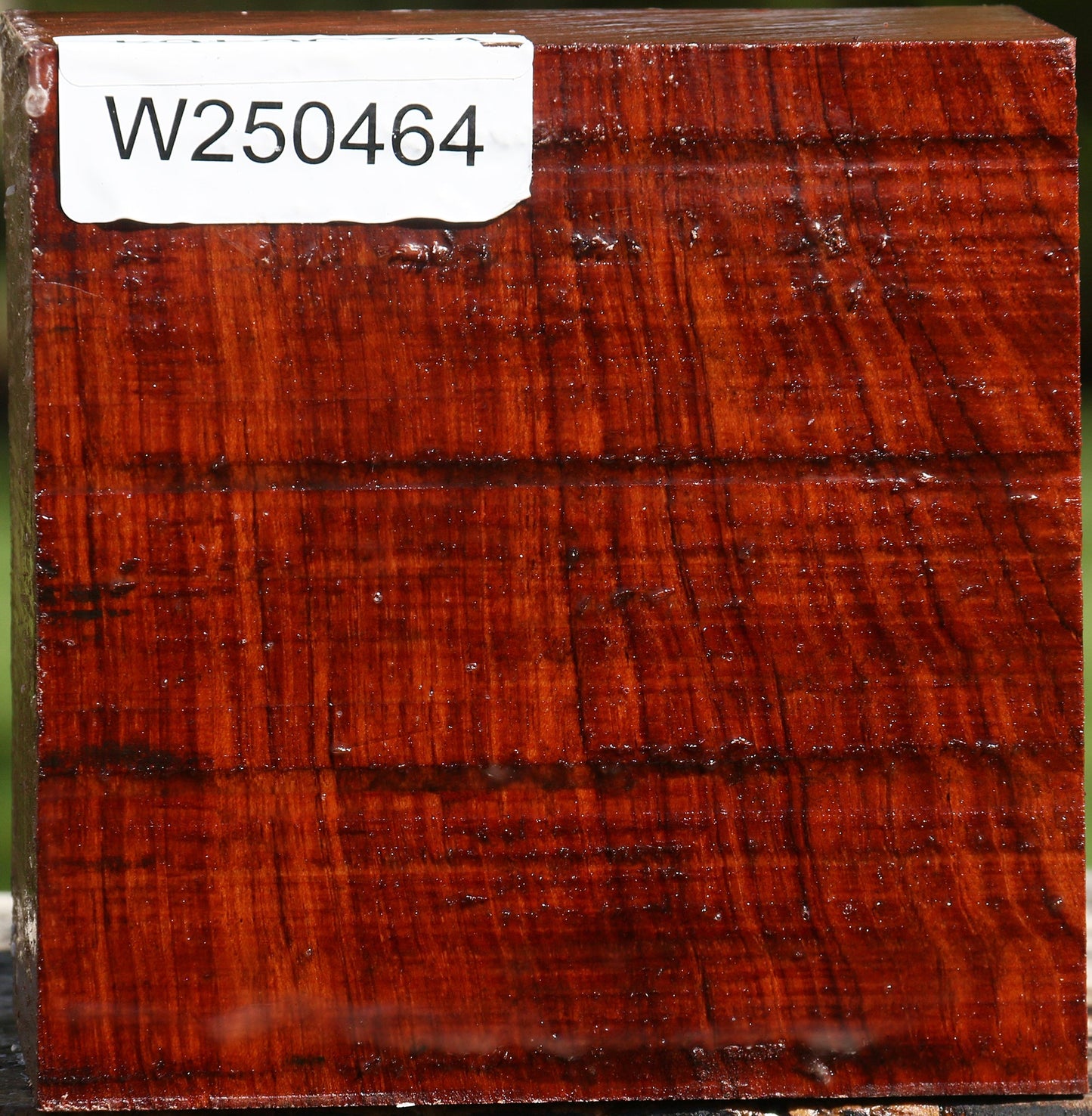 Bubinga Bowl Blank