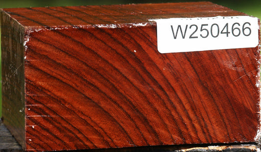Bubinga Bowl Blank