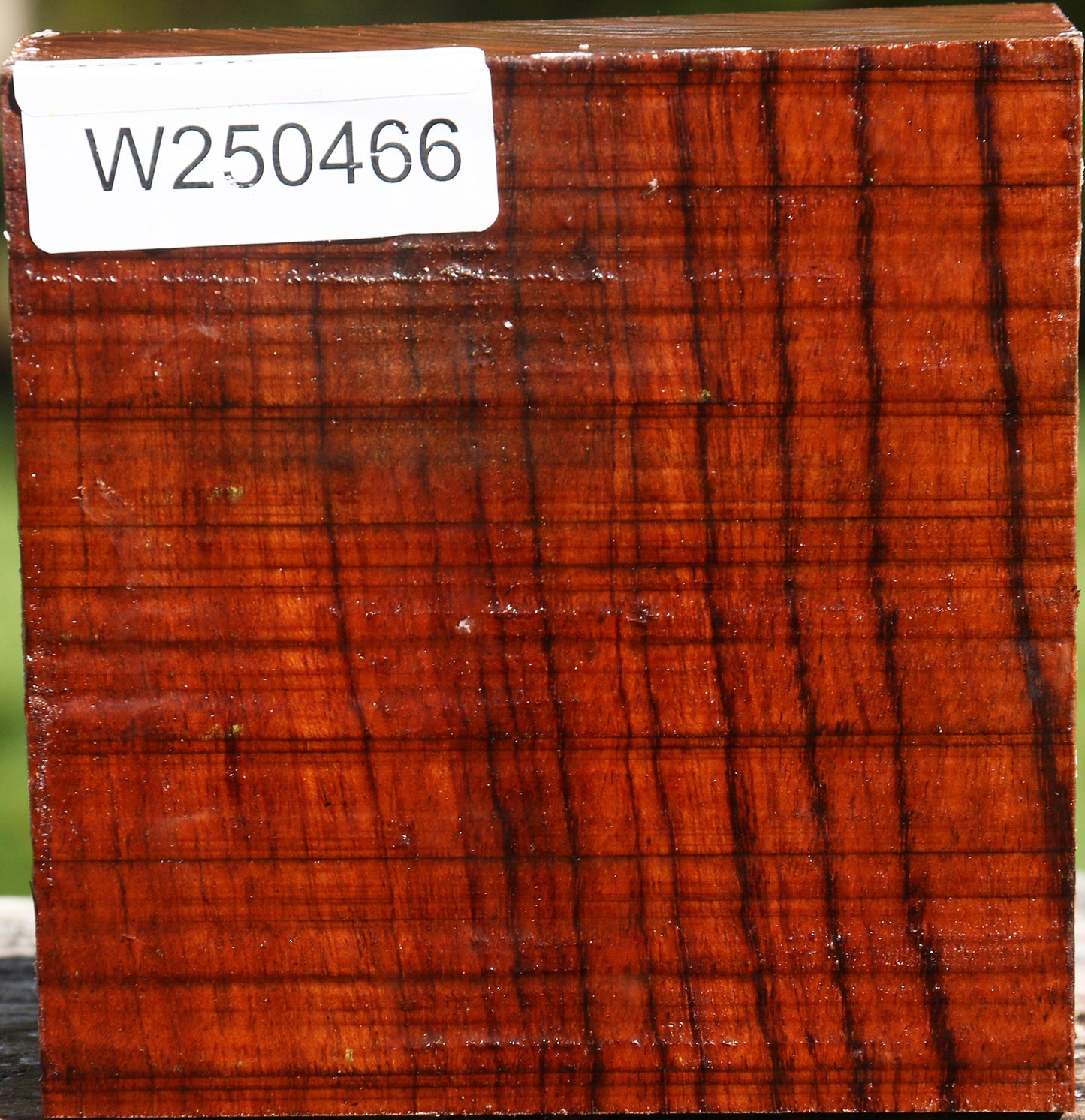Bubinga Bowl Blank