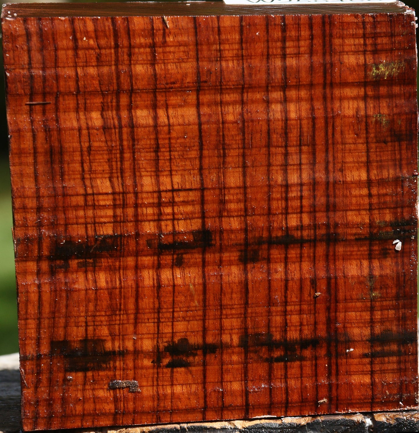 Bubinga Bowl Blank