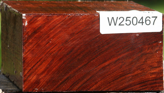 Bubinga Bowl Blank