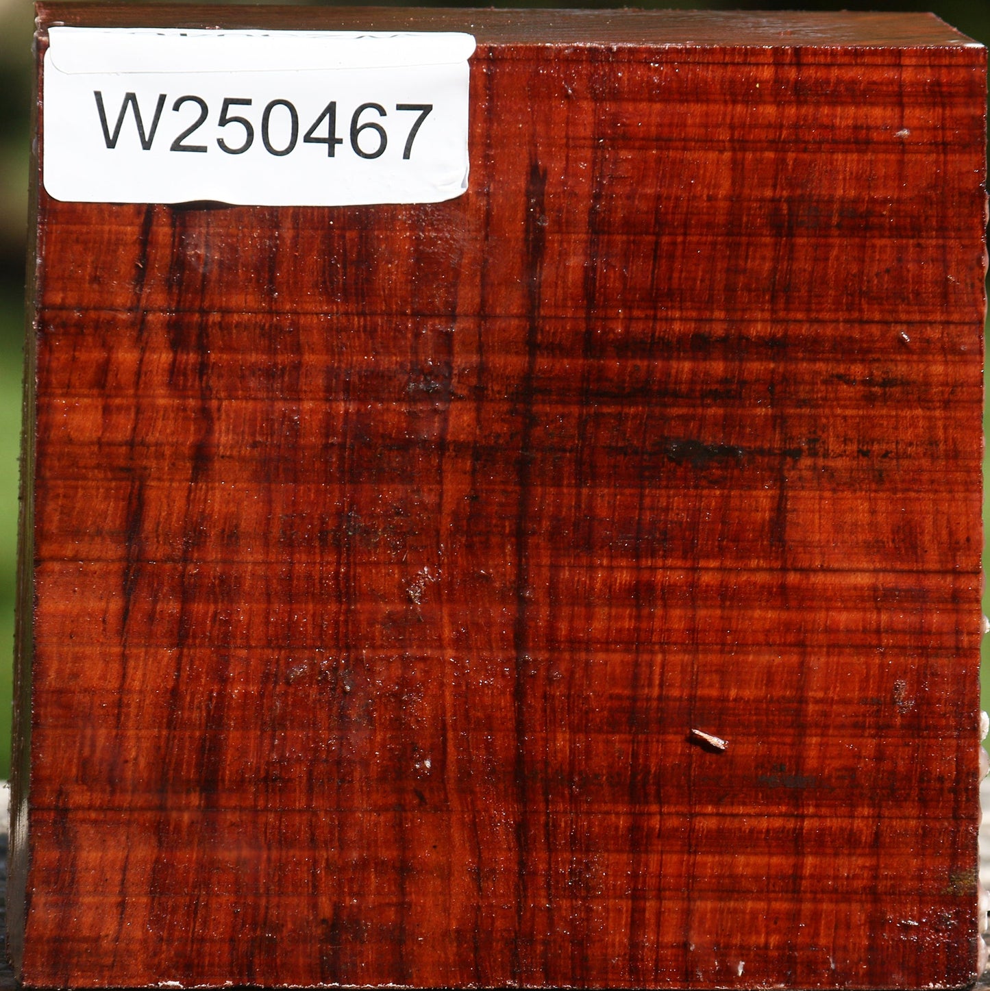 Bubinga Bowl Blank