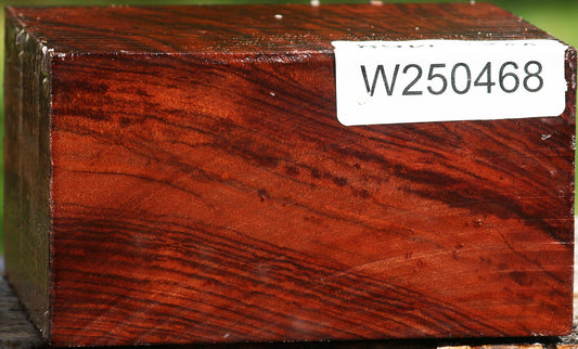 Bubinga Bowl Blank