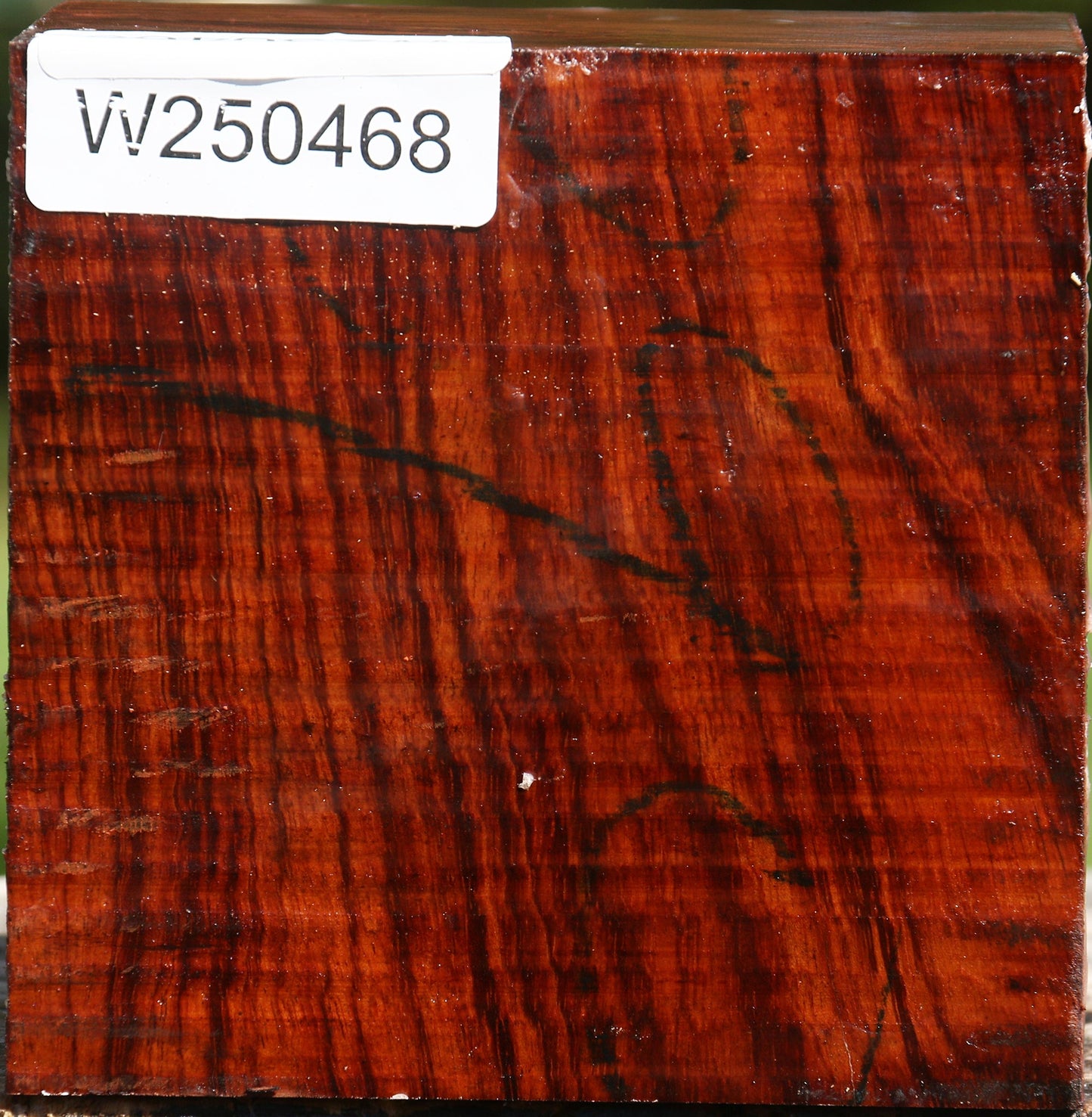 Bubinga Bowl Blank