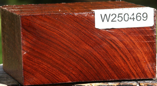 Bubinga Bowl Blank