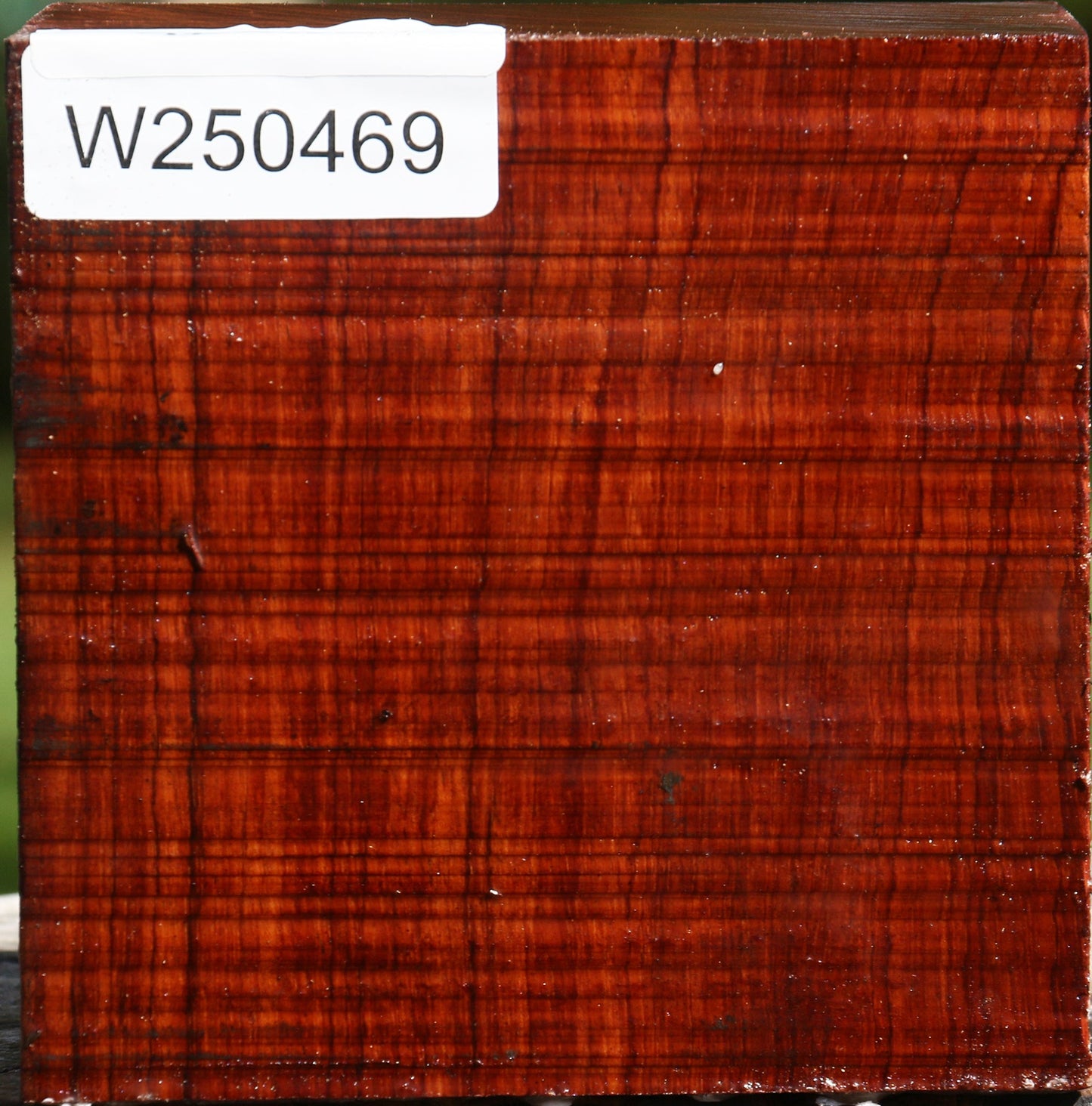 Bubinga Bowl Blank