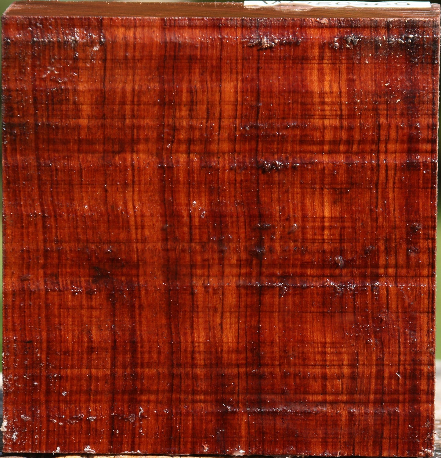 Bubinga Bowl Blank