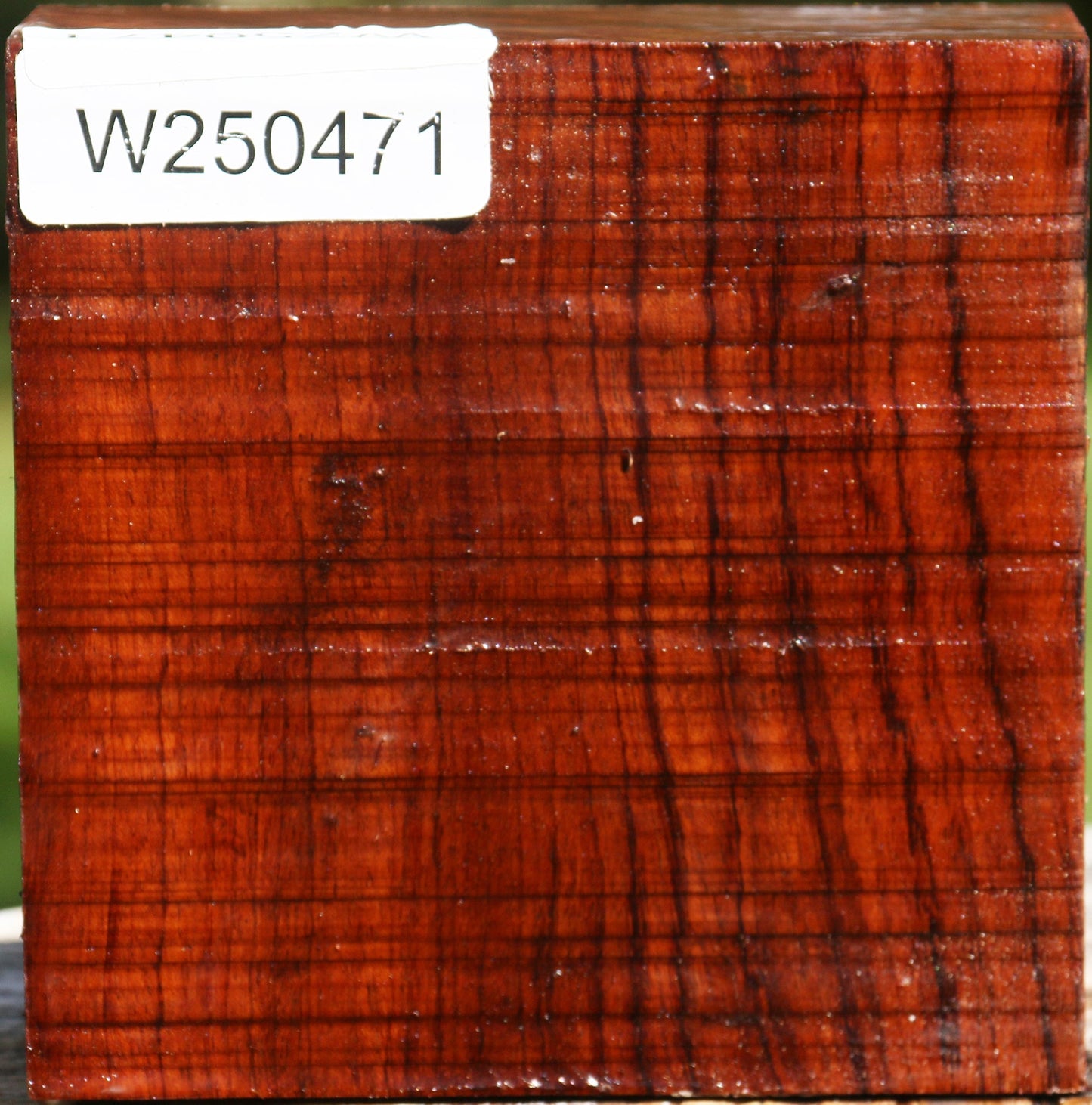 Bubinga Bowl Blank