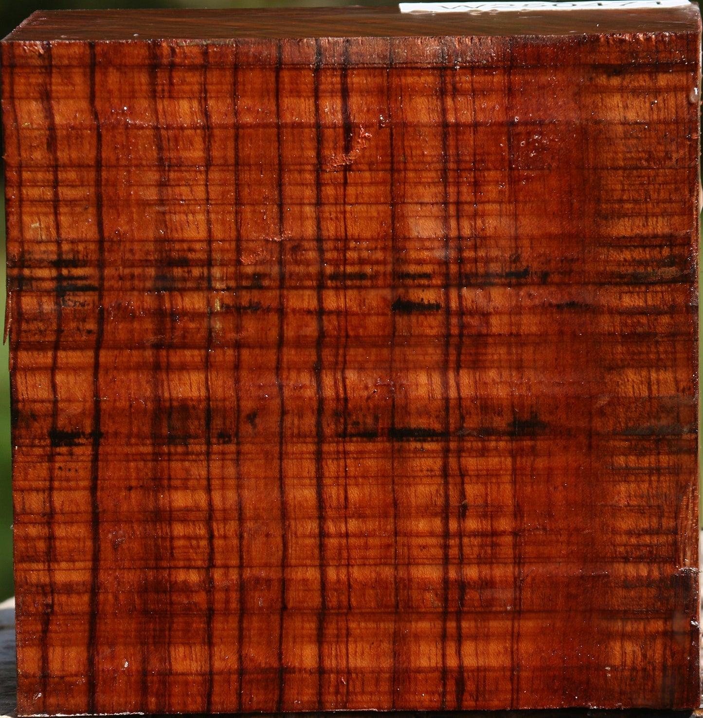 Bubinga Bowl Blank