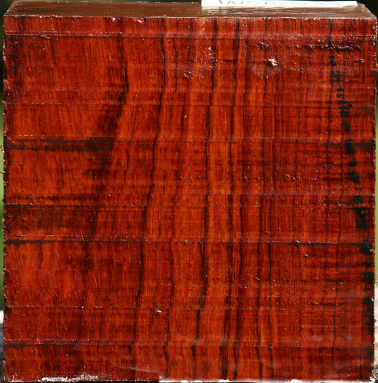 Bubinga Bowl Blank