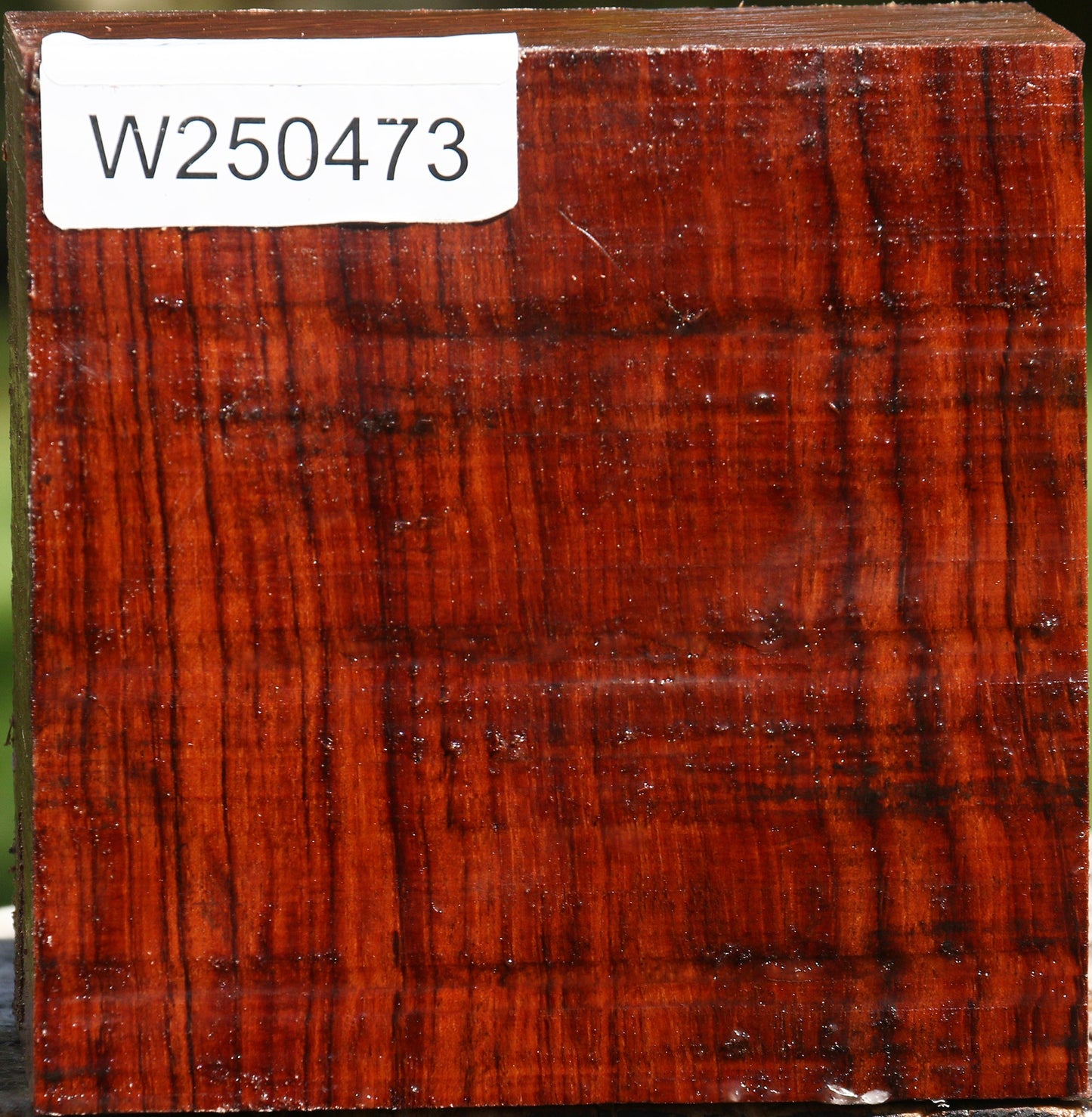 Bubinga Bowl Blank