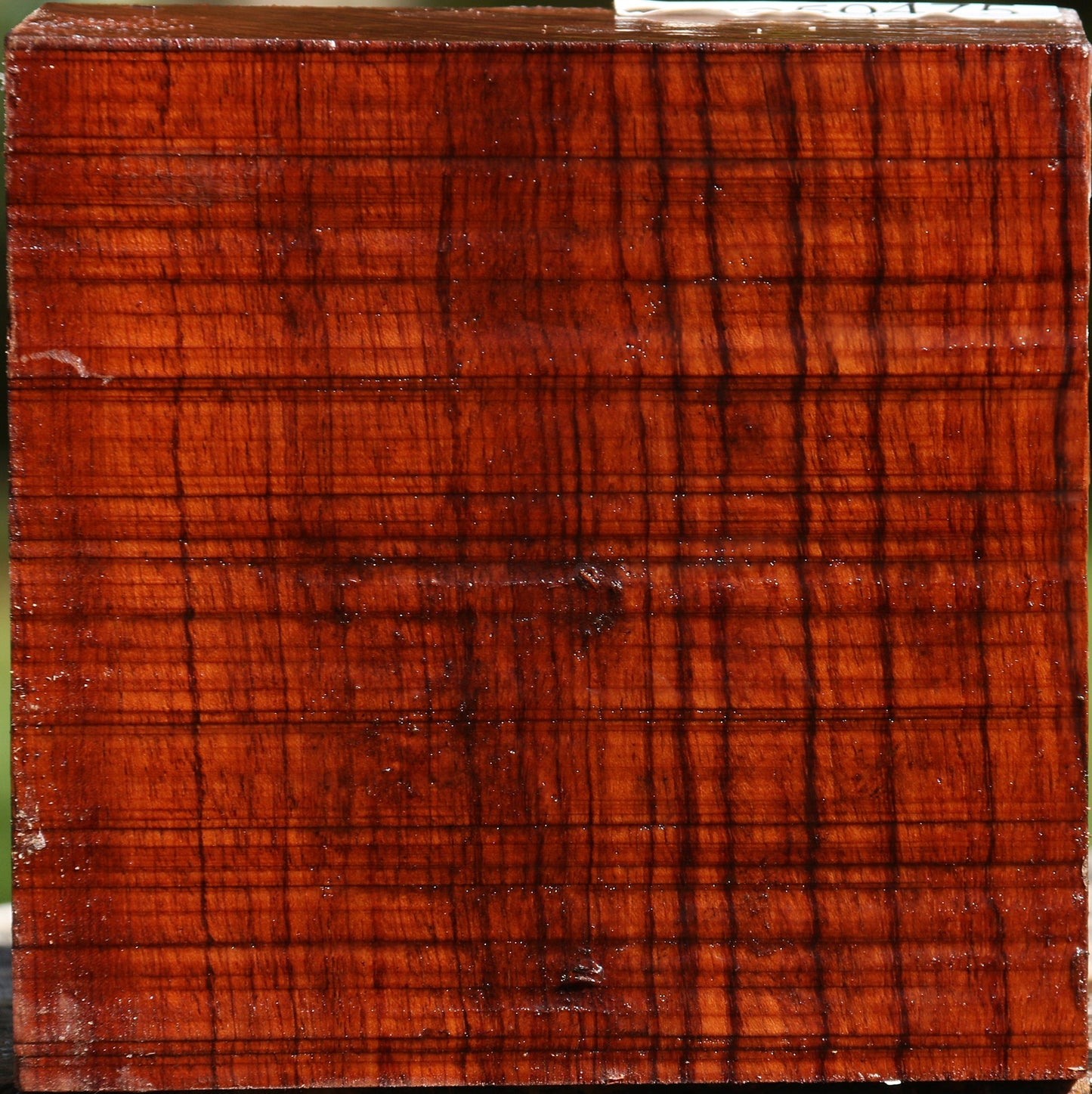 Bubinga Bowl Blank
