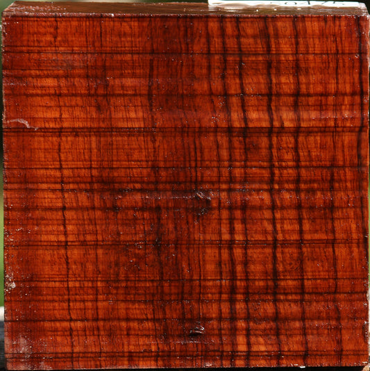 Bubinga Bowl Blank
