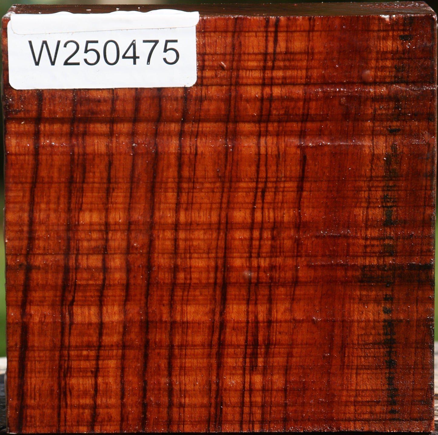 Bubinga Bowl Blank