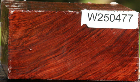 Bubinga Bowl Blank