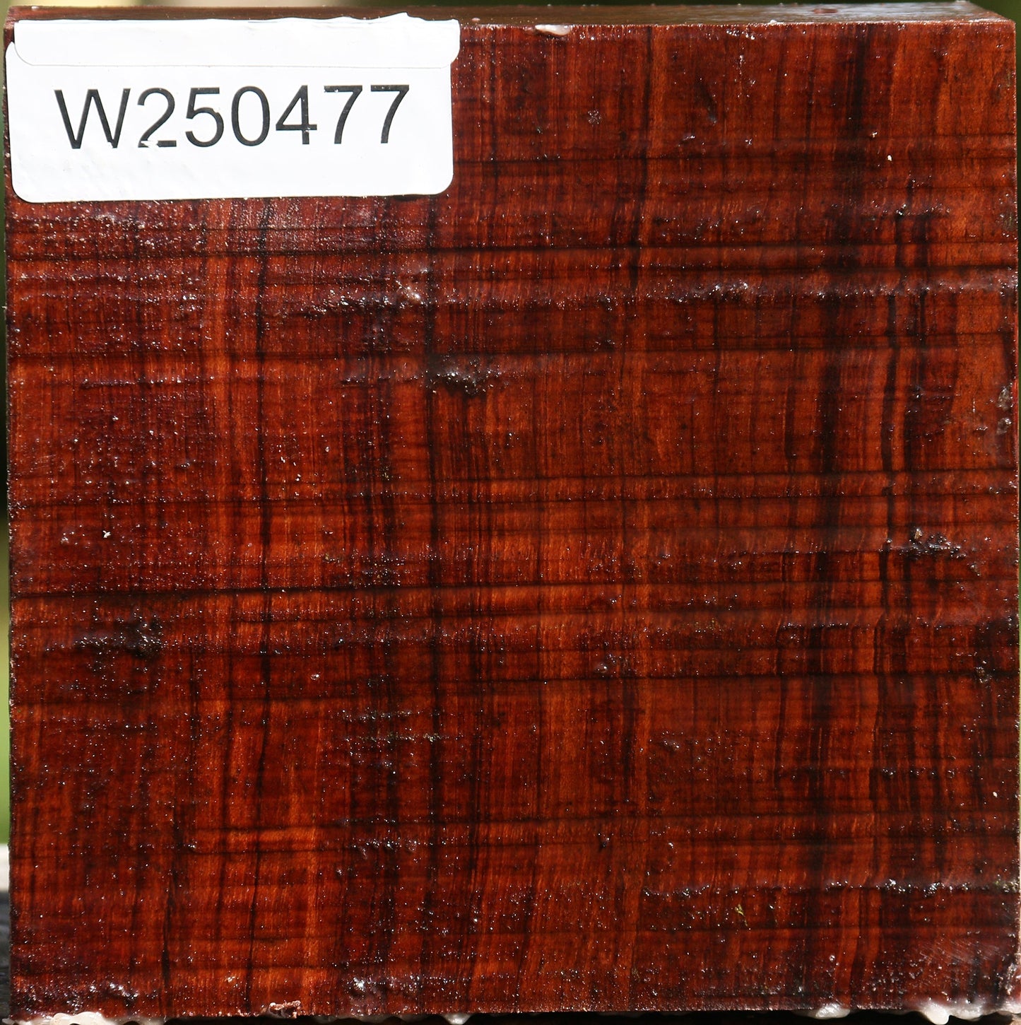 Bubinga Bowl Blank