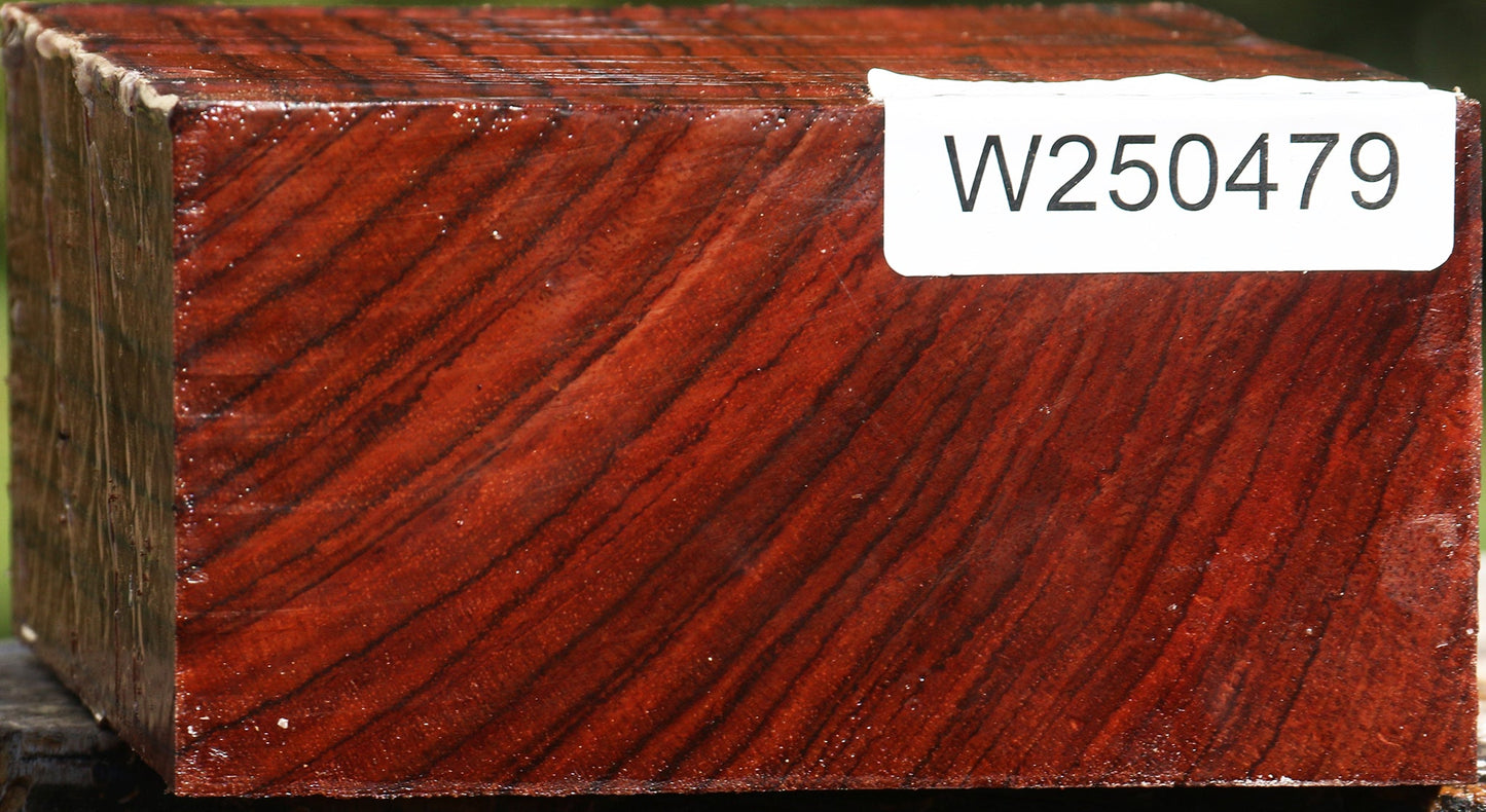 Bubinga Bowl Blank