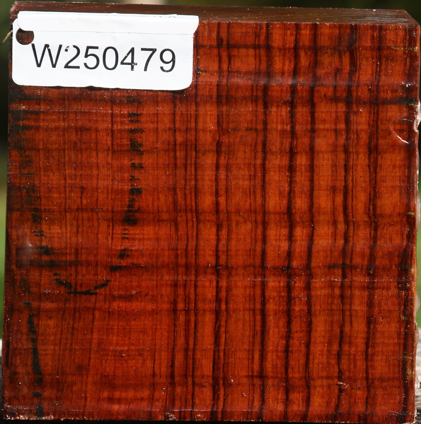 Bubinga Bowl Blank