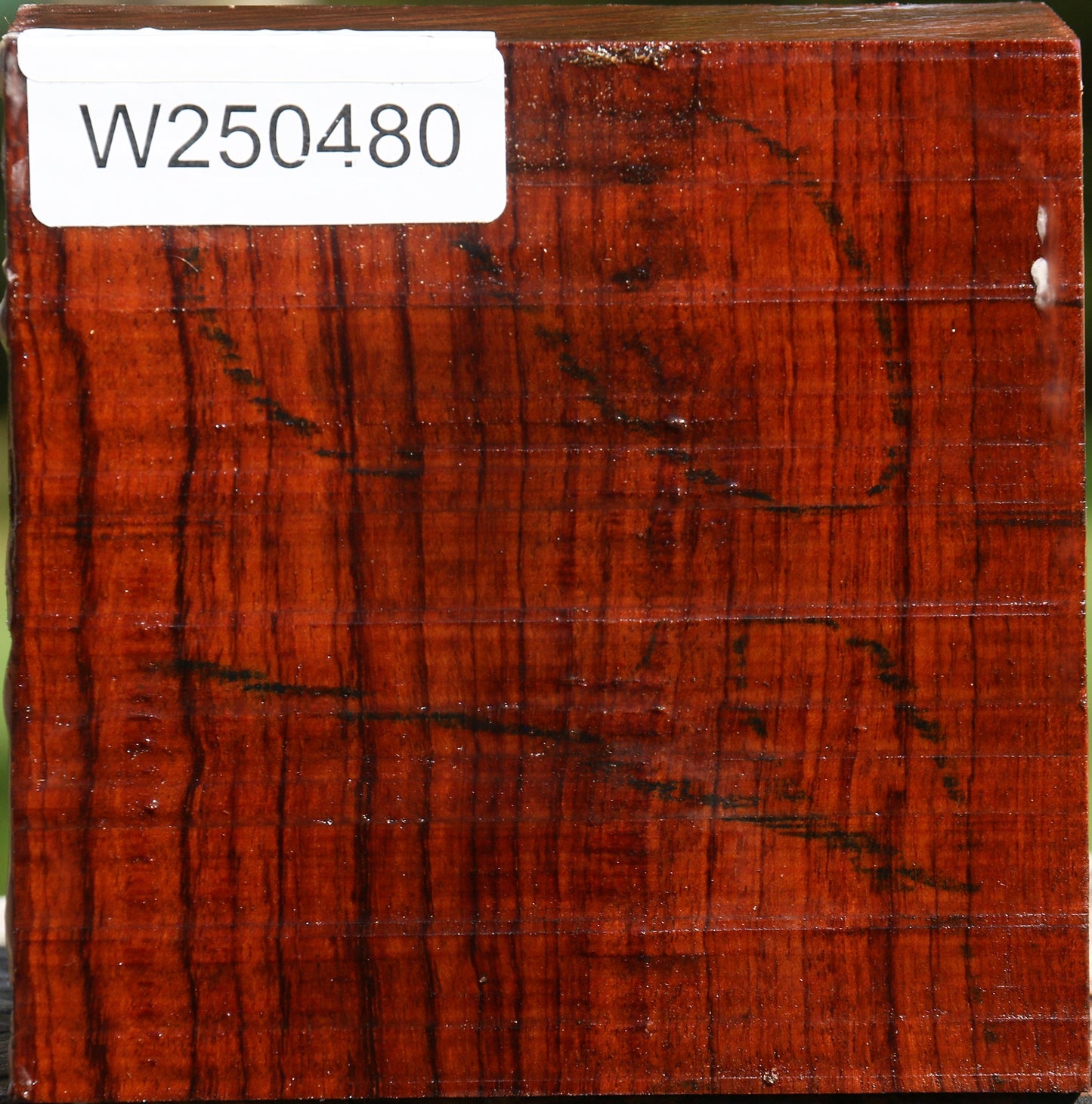 Bubinga Bowl Blank