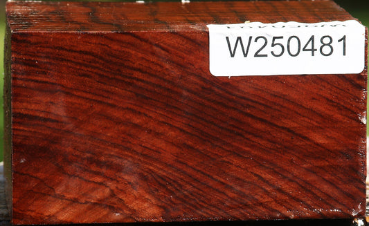 Bubinga Bowl Blank