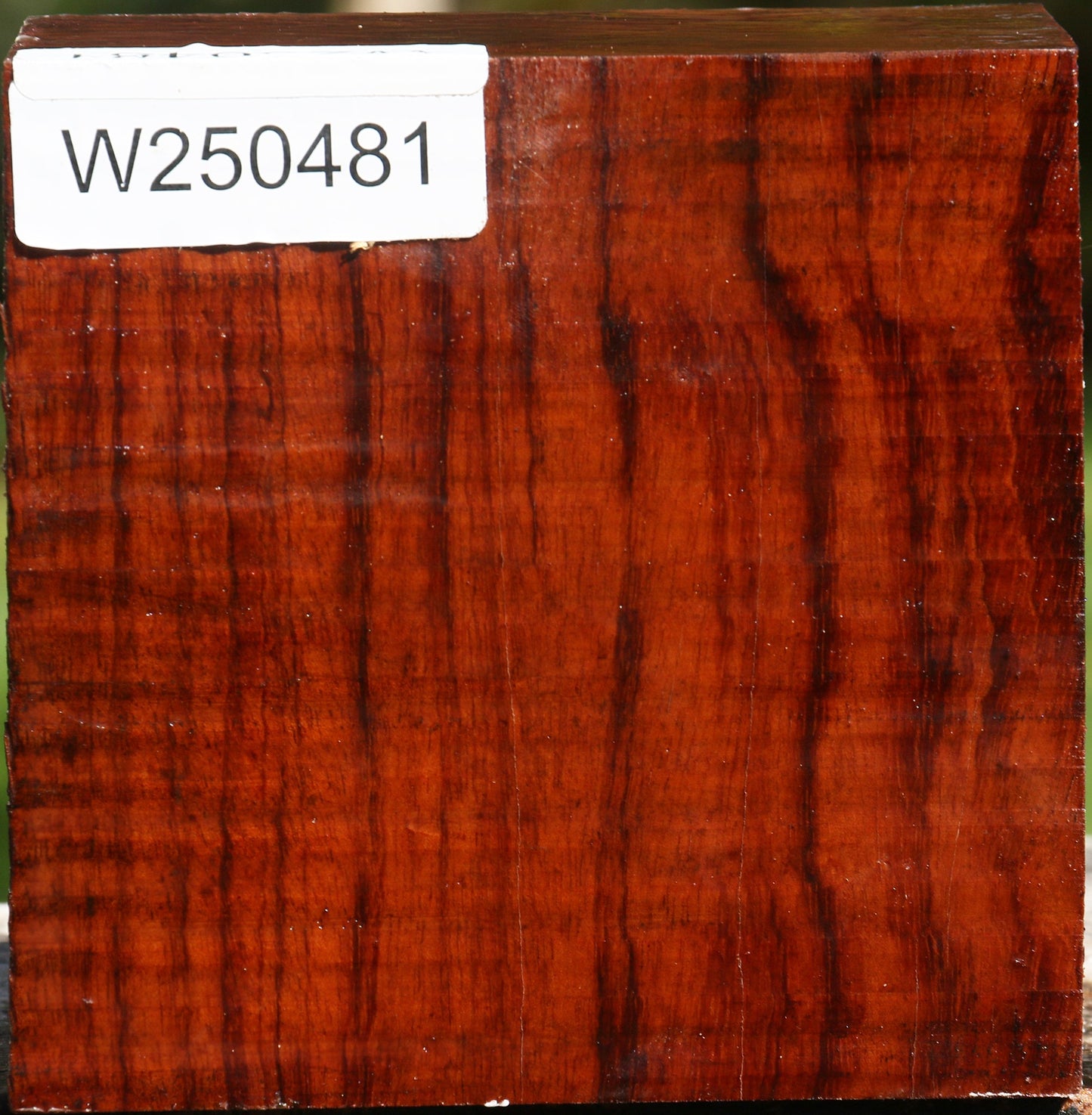 Bubinga Bowl Blank
