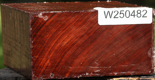 Bubinga Bowl Blank