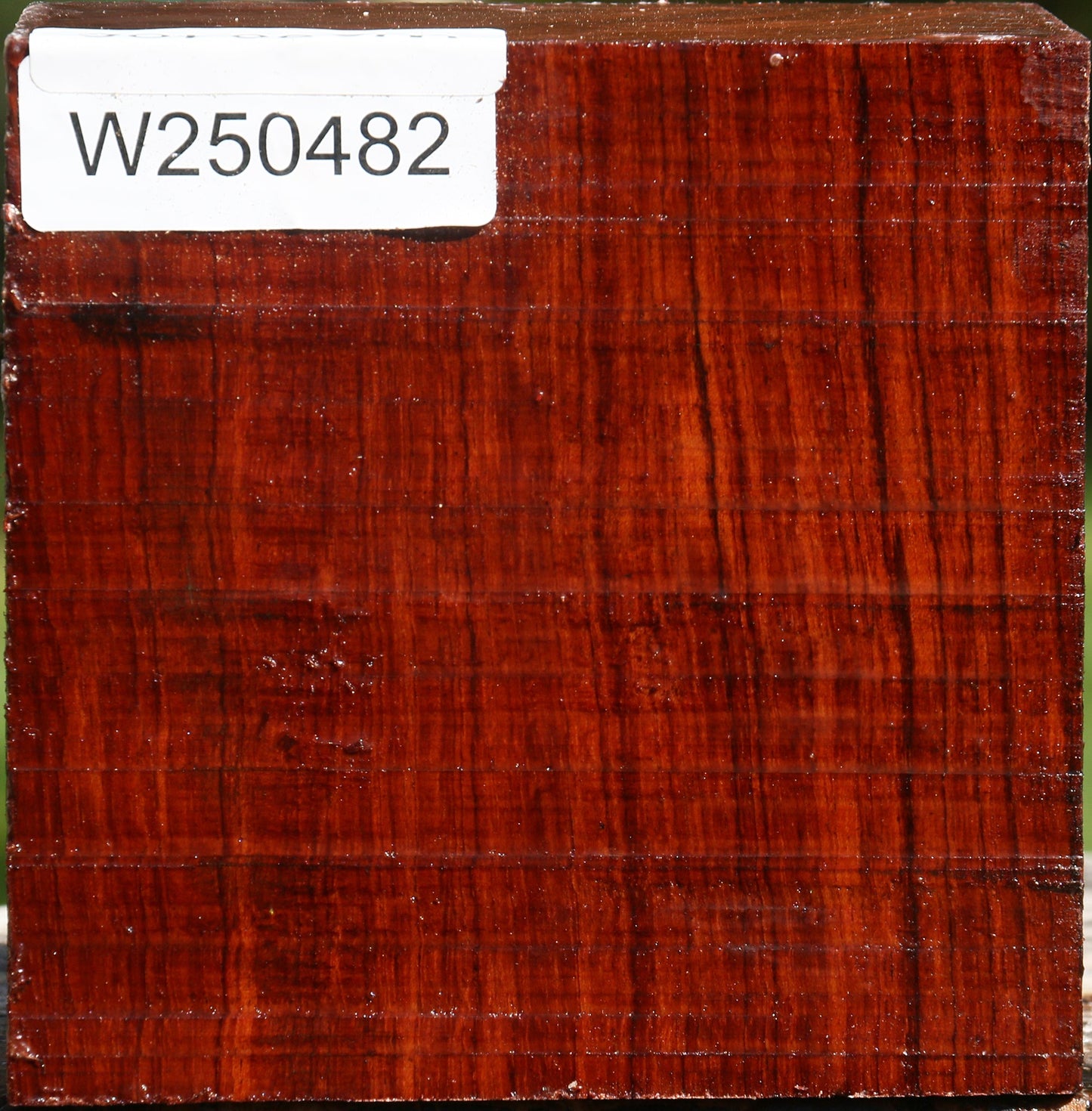 Bubinga Bowl Blank