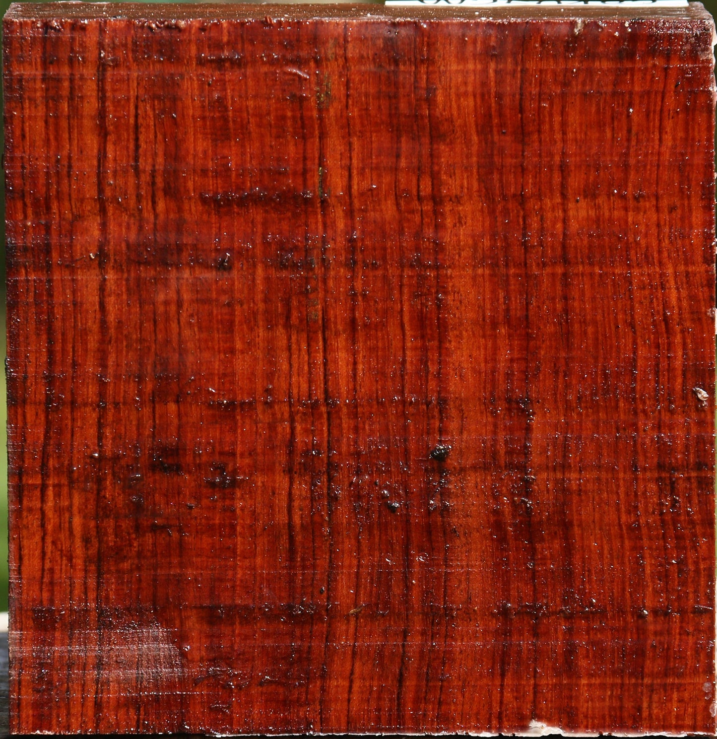 Bubinga Bowl Blank