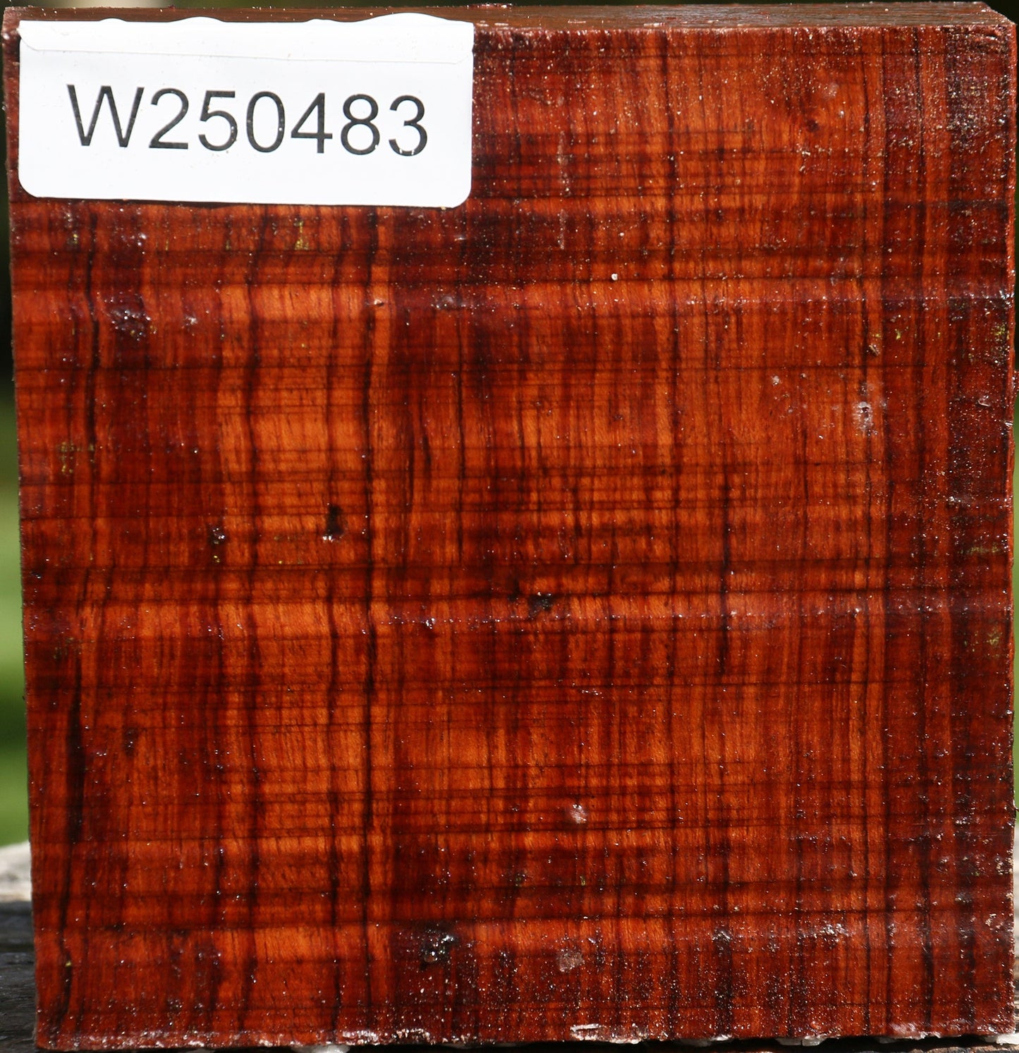 Bubinga Bowl Blank
