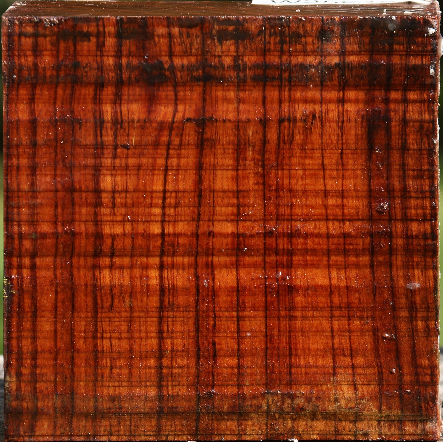Bubinga Bowl Blank