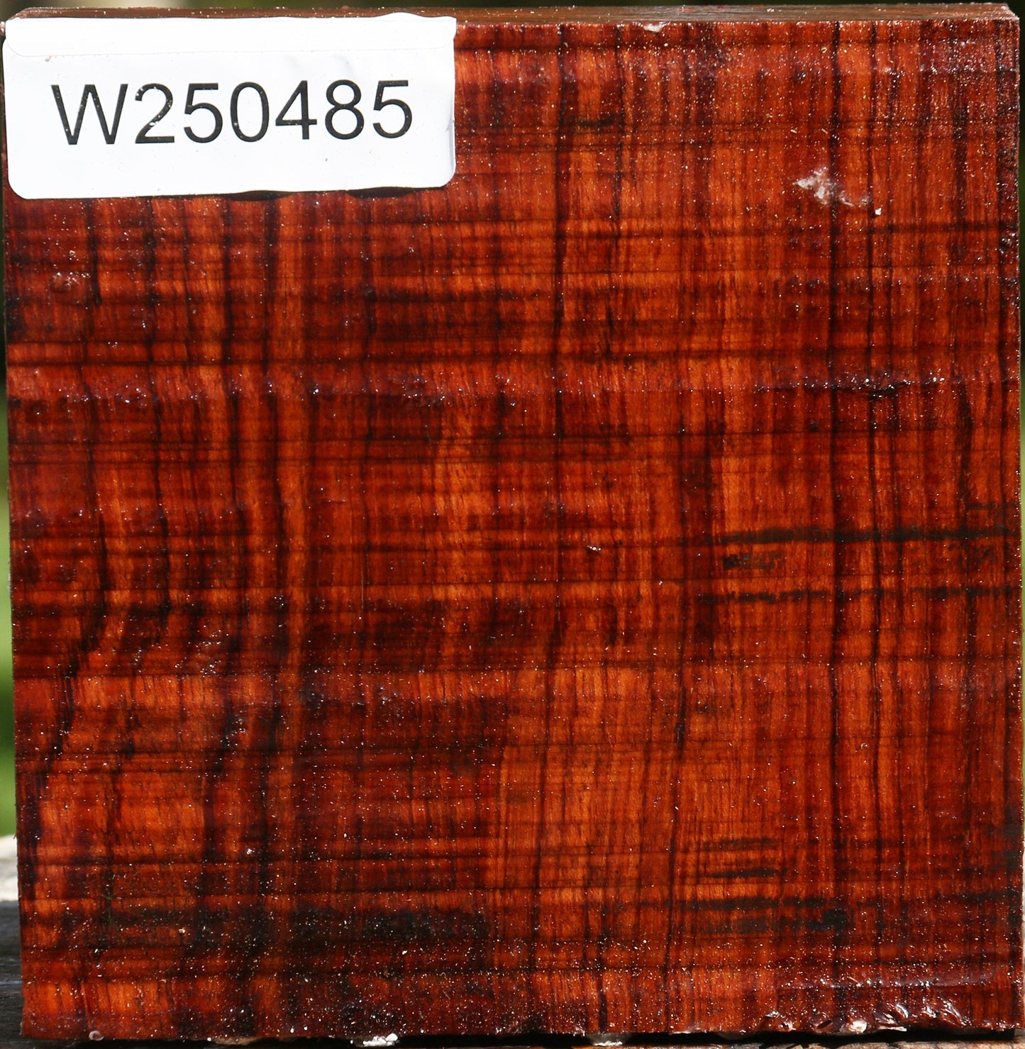 Bubinga Bowl Blank