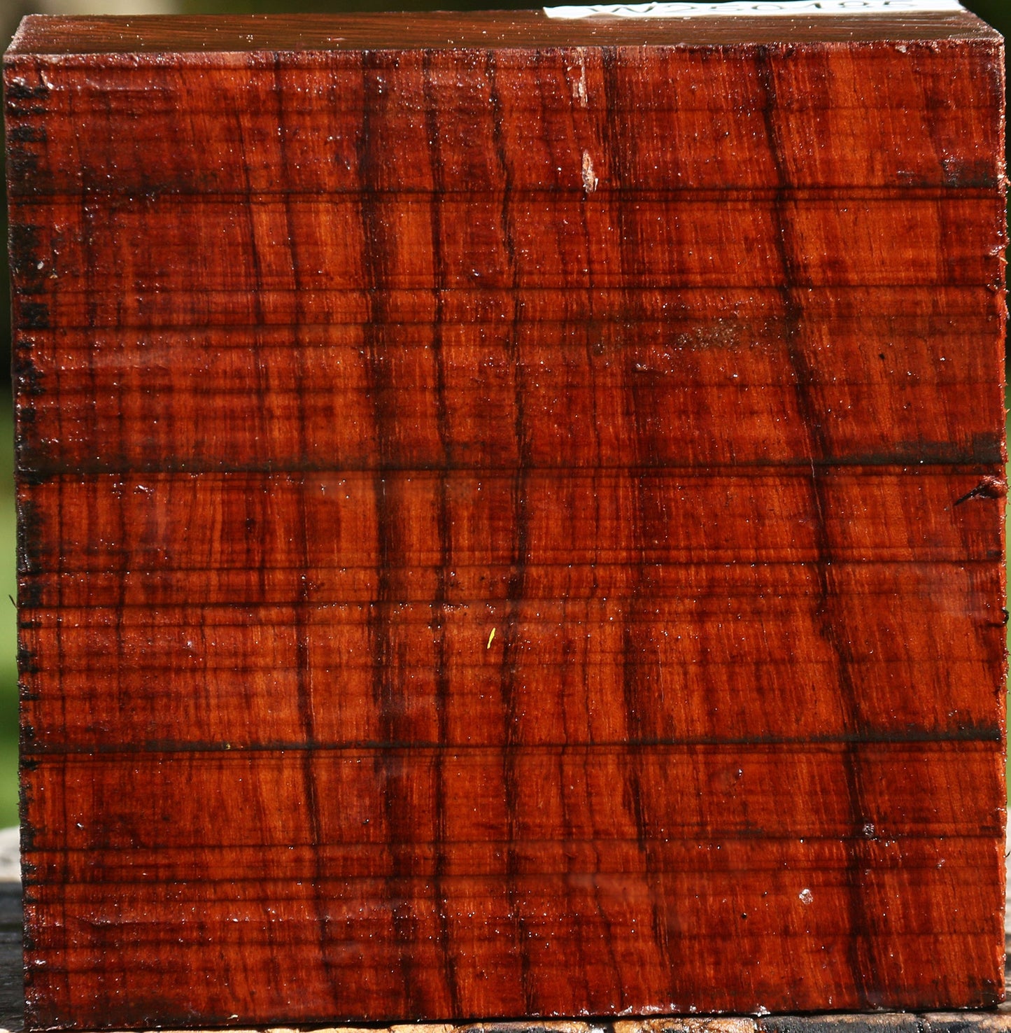 Bubinga Bowl Blank
