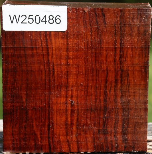 Bubinga Bowl Blank