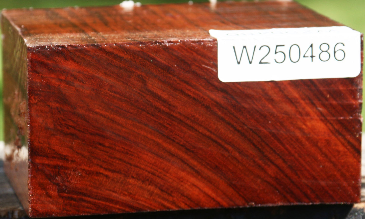 Bubinga Bowl Blank