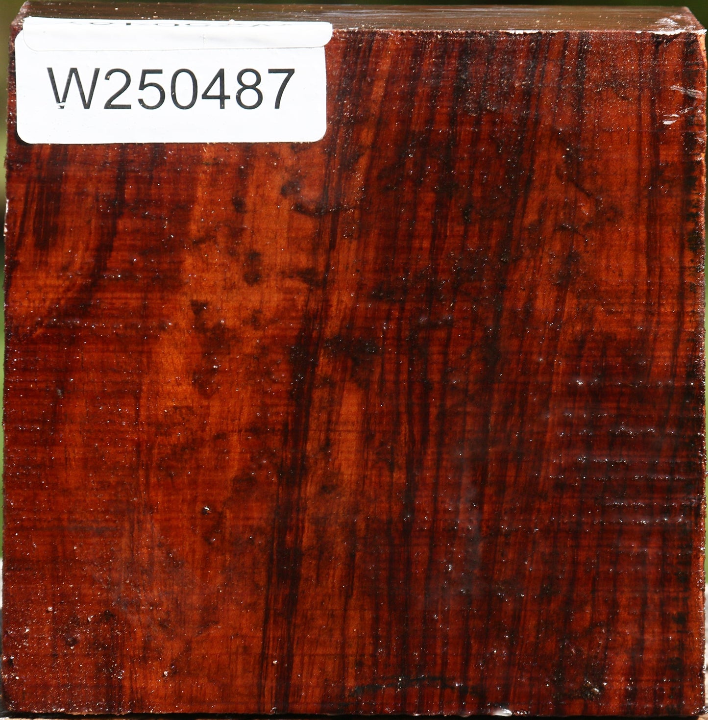 Bubinga Bowl Blank